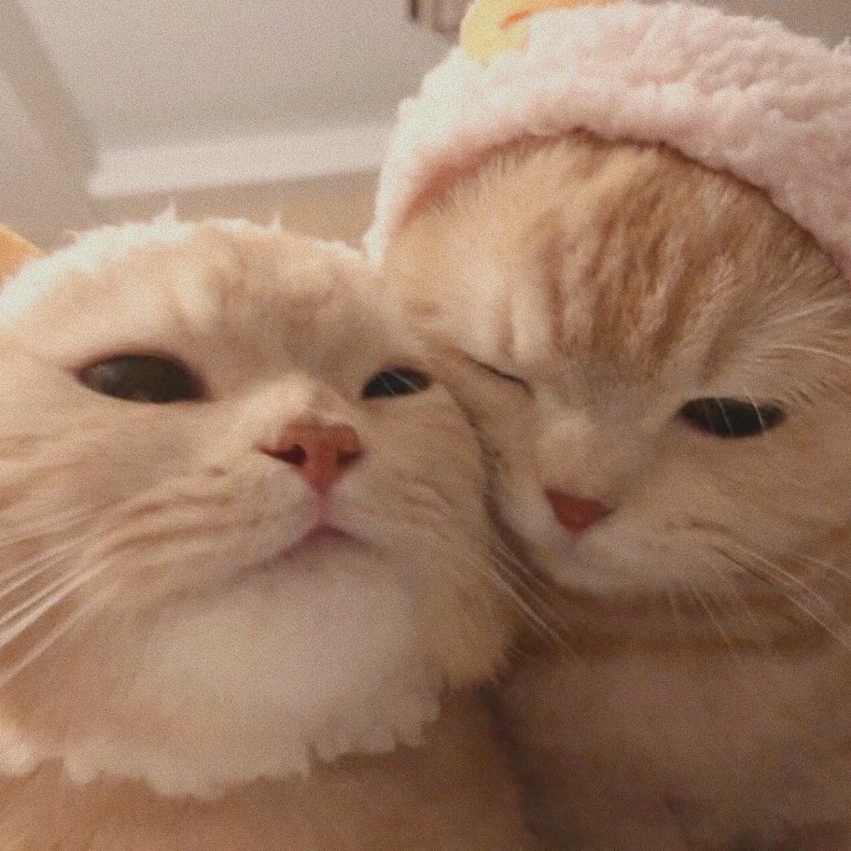 cat_haruto's tweet photo. 🦙🐼 @treasuremembers #이거하루토 #HARUTO #하루토 #트레저 https://t.co/iR1JVAHQEZ