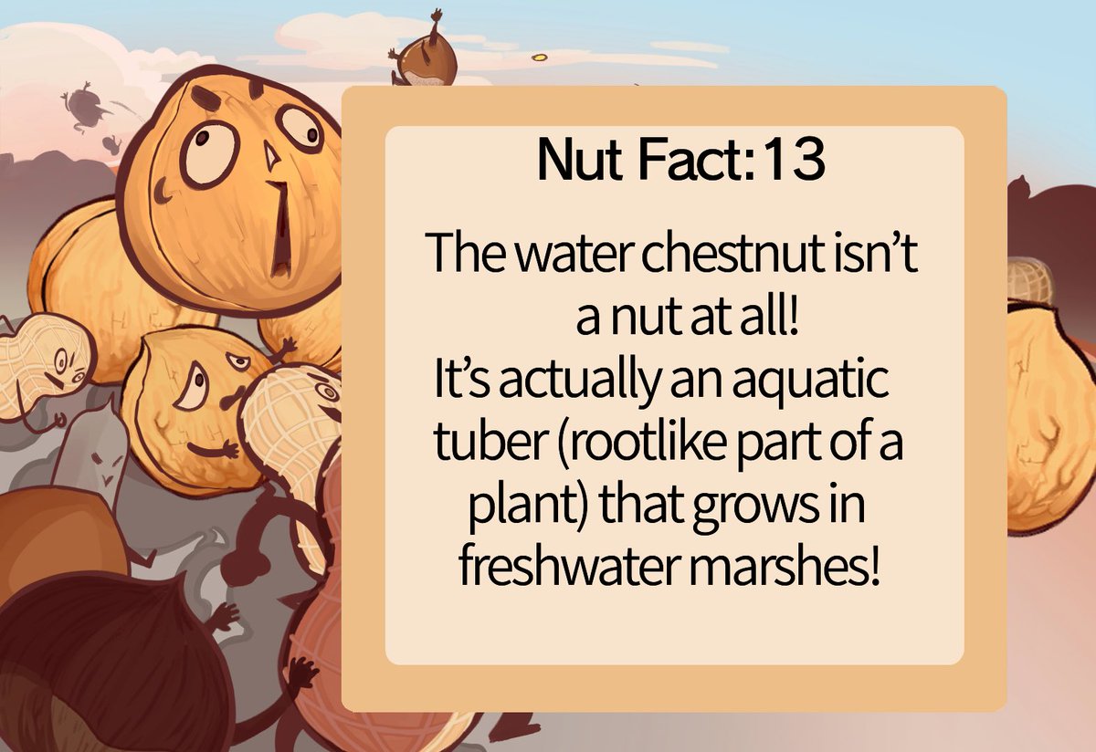 Ti_TymeGames's tweet photo. What a chest-not!!
Its been fooling us all these years!!! π
#fool #imposter #not #nutfact #indiedev https://t.co/Gaa7Z4Qnxc