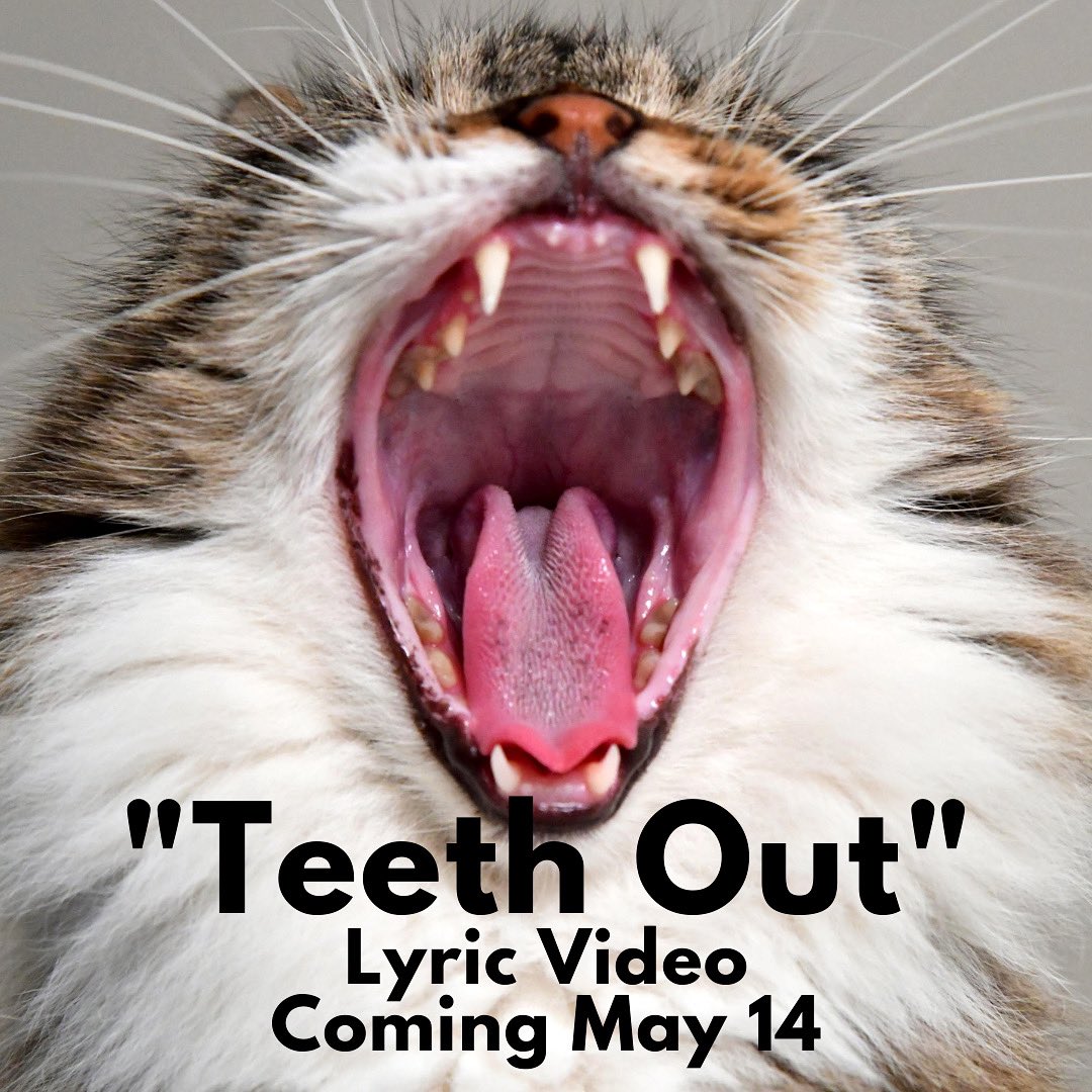 CodeRedRiot's tweet image. “Teeth Out” lyric video coming Friday…
#teethout #lyricvideo #comingsoon #why #whynot