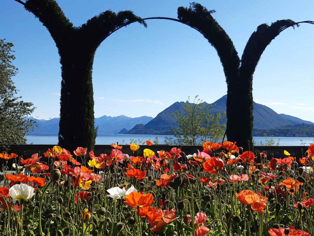 FranceTVRome's tweet photo. 🌷🌞 Aujourd'hui dans votre 13h sur @France2tv , on vous fait visiter les plus beaux jardins d'#Italie (du monde, pour certains).

Saurez-vous deviner où ils sont ? https://t.co/mRh3MLwlZ7