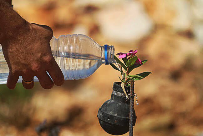 KH9_OMAN99_'s tweet photo. فلسطينية تجمع قنابل الاحتلال الإسرائيلي وتزرع فيها الورد!♥️🇵🇸

#غزه_تحت_القصف https://t.co/gZ1kwSciLw