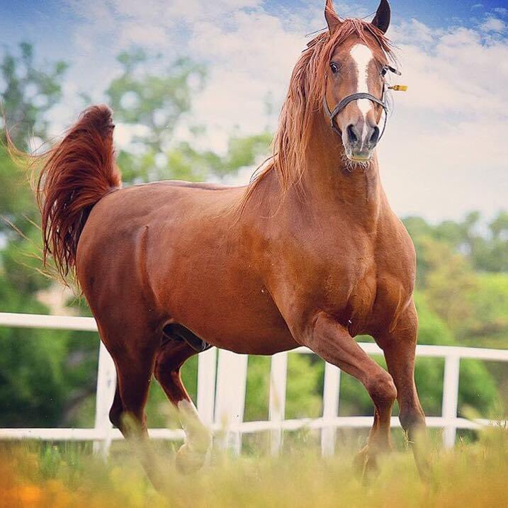 Özledik seni ❤️