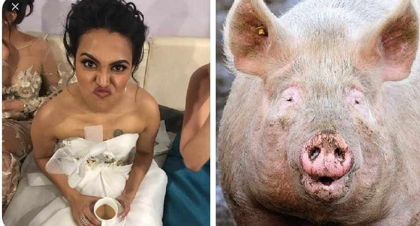 AchAnkurArya's tweet photo. Swara को न जाने क्यों मैं पहले दिन से सुवरा कहता आया था। 🐷 https://t.co/qkvCwMGFjw