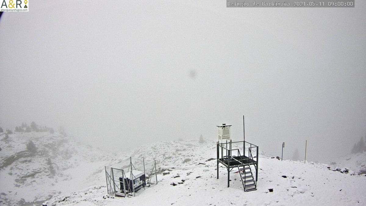 Nieve de Aragón tweet media