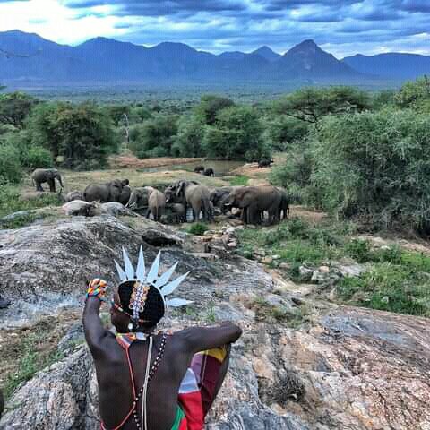 tukwa2's tweet image. #saveMauNarokForest
#saveAmazonForest
#savecongoforest 
#saveLaosforest
#savetheplanet
#ClimateStrikeOnline 
#PlantTrees 
#wondersoftheNature