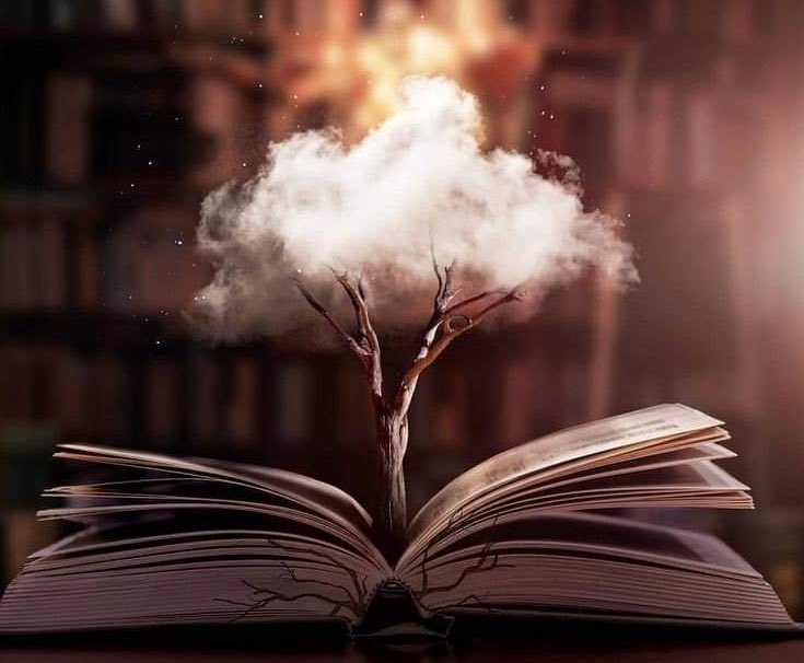 𝚂𝙰𝙷𝙰𝙵 tweet media