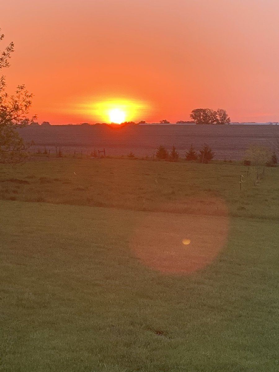 jmmeints's tweet image. Sunrise this morning