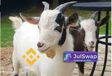 <a href="/cz_binance/">CZ 🔶 BNB</a> 👀