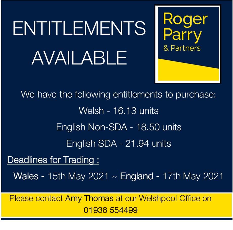 RogerParry&Partners tweet media