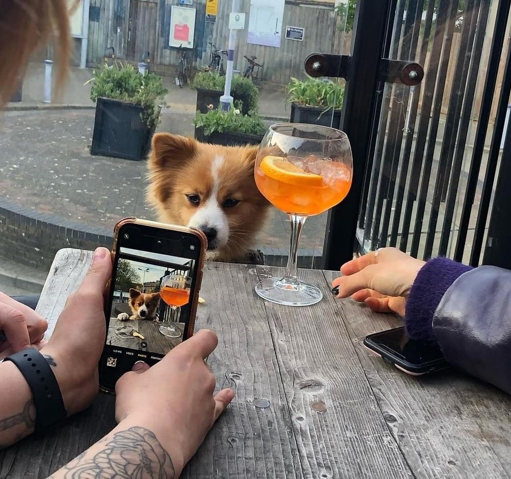 Blessing your timeline this fine Tuesday afternoon 😍😍😍