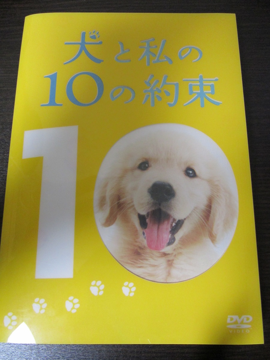 犬の映画 Twitter Search Twitter