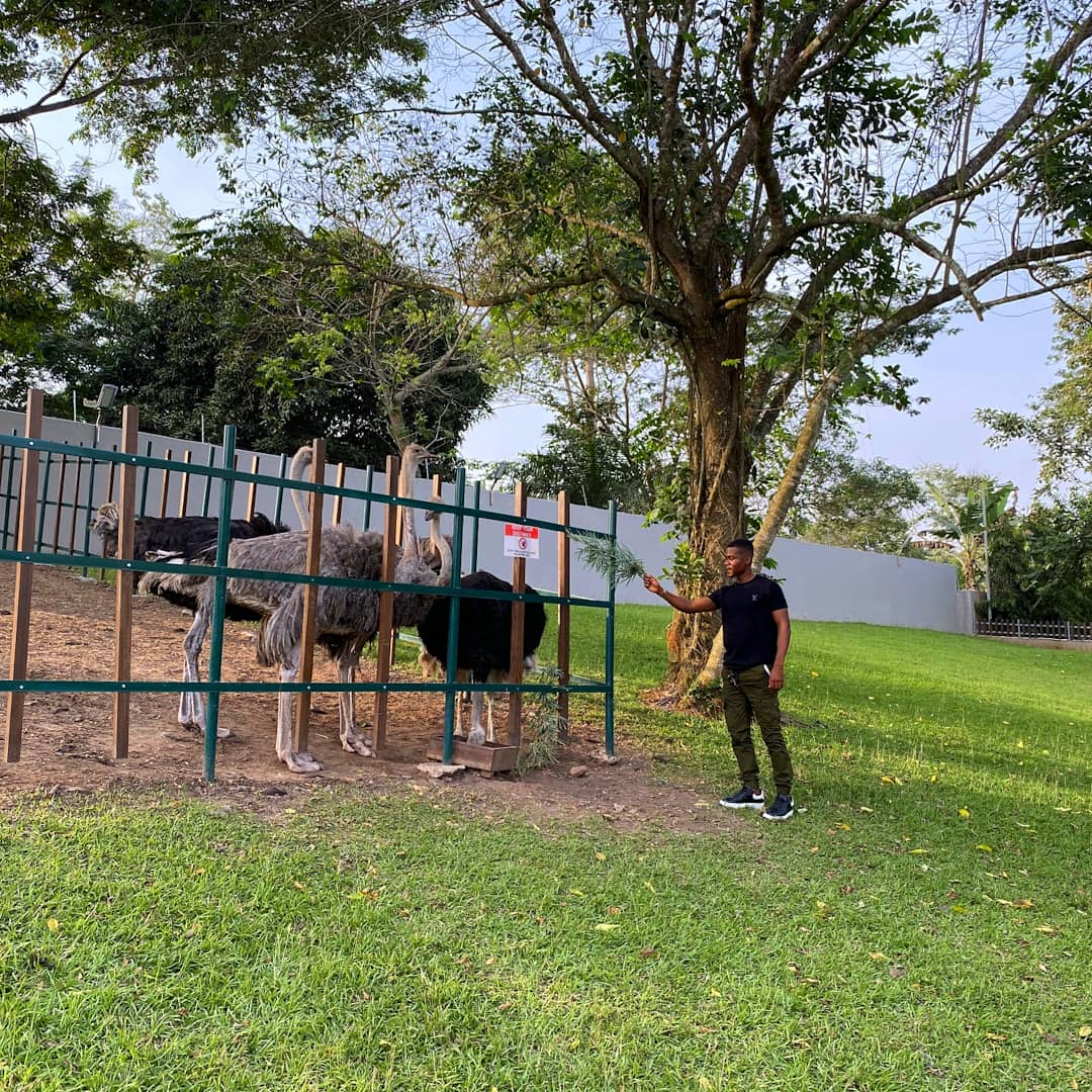 PeduaseValley's tweet photo. To the lovers of Pet animals, remember to check out the pet zoo on your next visit for a wonderful experience at @peduasevalleyresort_
Call us on 0540125554/5 or DM for bookings
#pvrpetzoo #petzoo #zoo #tuesdayvibes #edplore #Adventure #serene #escape #aburi #aburi #ghana🇬🇭 https://t.co/B9mdNWKkqG
