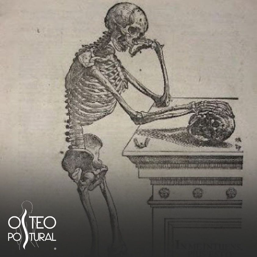 osteopostural's tweet photo. Come studiare anatomia:
1.Stila un piano di studio per studiare anatomia
2.Analizza bene il libro
3.Mappe mentali per studiare anatomia
4.Utilizza le tecniche di memoria
5.Studia per spiegare
6.Ripassa
#osteopostural #osteopata  #osteopatia #osteopathy #osteopath https://t.co/1hC63FBpQT