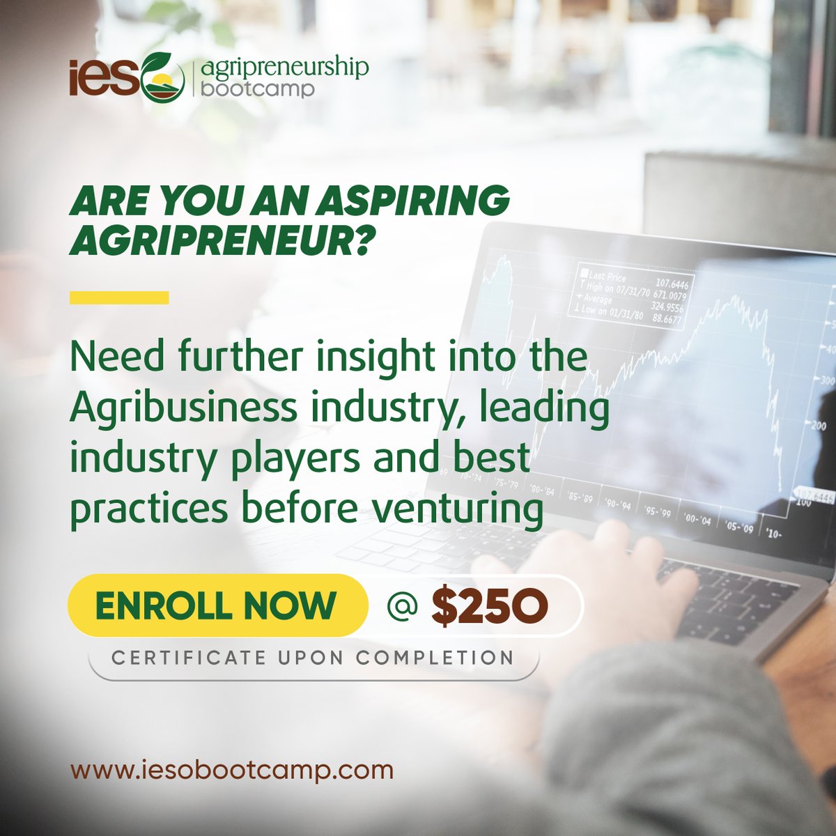 ieso_bootcamp's tweet photo. Are you an Agripreneur?

Ready to take your Agribusiness Idea from the idea stage to a successful business with all the right insights?

Enroll in our extensive 6 week Online Agripreneurship Bootcamp. Click the link below to learn more and Enroll. 👇🏿👇🏿👇🏿
https://t.co/POVYok931d https://t.co/Dqrs0F7bOX
