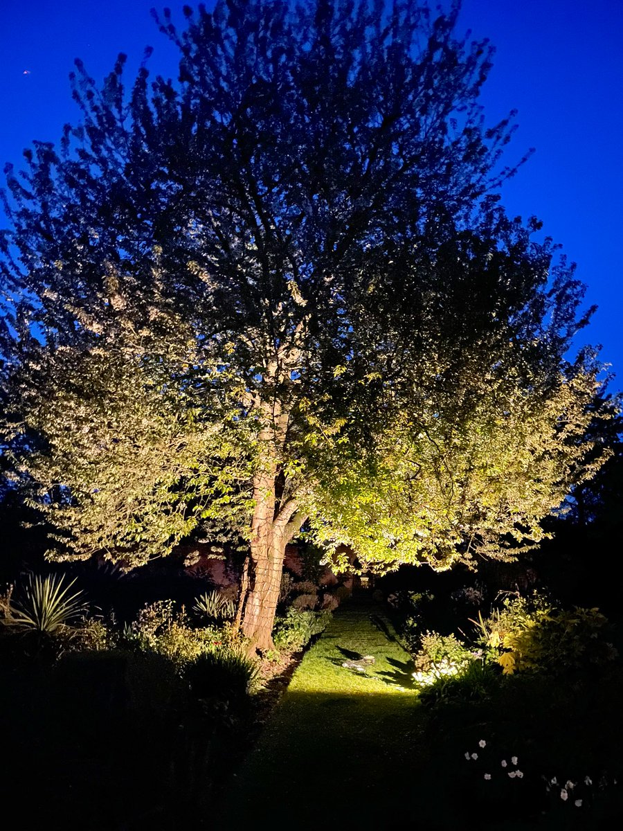 GTE55's tweet photo. Bit of a late one last night trying out some @johncullenlight outside garden lights. Customer present, so they know exactly what they will be getting.  Tree will be adjusted a bit. #gardenlighting #outsidelighting #sparky #electrician #LEDlighting #Lighting https://t.co/jA1nP8qQ3h