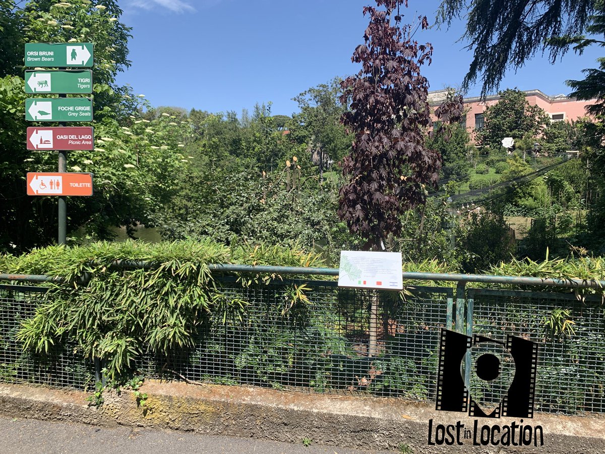 lost_location's tweet photo. Un sacco bello (Carlo Verdone, 1980)
.
Leo (Carlo Verdone) e Marisol (Veronica Miriel) allo zoo
.
🗺️ https://t.co/ER2L7LXrEn
.
#lostinlocation #cineturismo @roma https://t.co/KaZf5SfOCv
