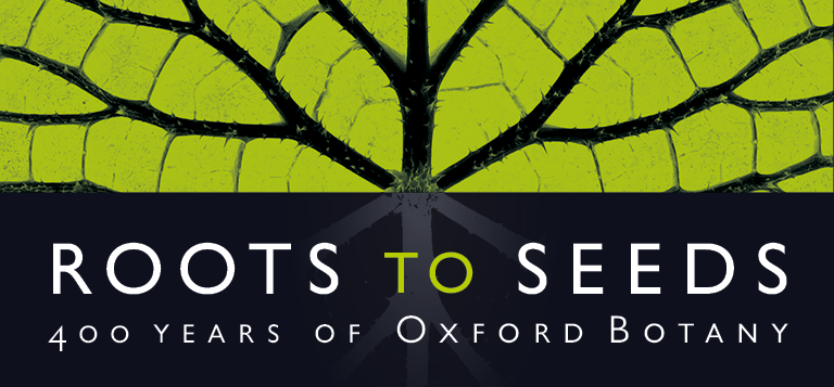 bodleianlibs's tweet photo. The Oxford Botanic Garden was founded in 1621.

A new free exhibition with @OBGHA celebrates 400 years of Oxford botany - from a 17th c. medicinal herb garden to the collaborative research of today.

Roots to Seeds opens Tuesday 18 May, at Weston Library 
https://t.co/rK4POW1rls https://t.co/FszsYGyDrT