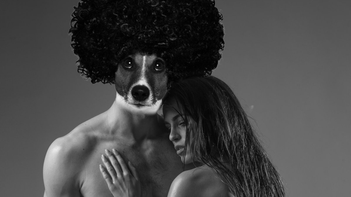 AFROMOONDOG tweet picture