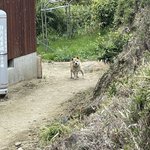 「犬を置いて散歩に行く」ドッキリを実行してみたら…？？心が傷む切ない表情!