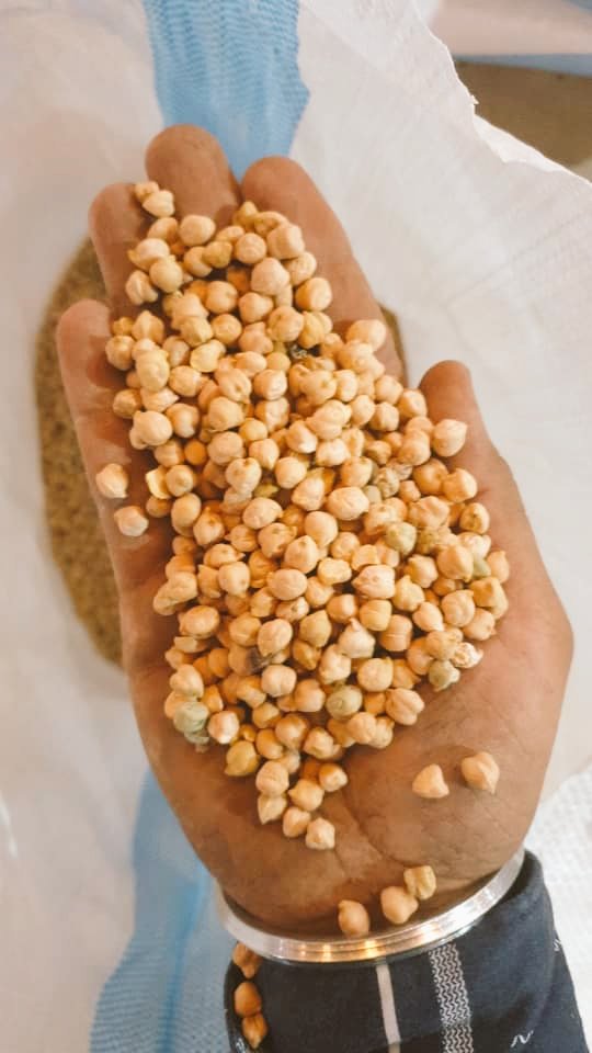 ExportMetro's tweet image. Sudan chickpeas &amp;amp; pegion peas ..