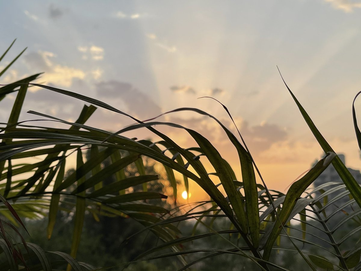 NEETAS11's tweet photo. Rays of hope .....blessed to see such a beautiful sunrise ......May 11/2021 !! #lockdowntimes https://t.co/Jsf8tAPf9H
