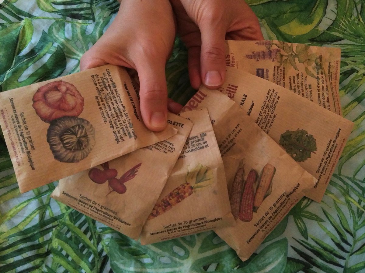 MapandFork's tweet image. ça y est, les graines #Kokopelli sont arrivées! 🎉
Cette année nous essayerons de faire pousser: courge Marina di Chioggia, Mais doux Arc En Ciel Inca, Betterave noire plate d'Egypte, Agastache rugosa, Chou frisé/kale lacinato rainbow et pour finir du Mais à éclater Glass Gem 🌽