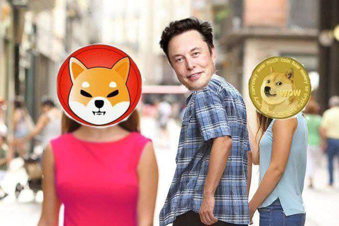 peetflue's tweet photo. @elonmusk What about $SHIB? https://t.co/WHGT9yO8ko