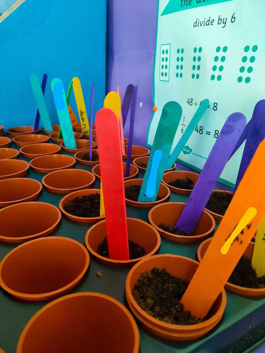 LiverpoolCollegeScouts tweet media