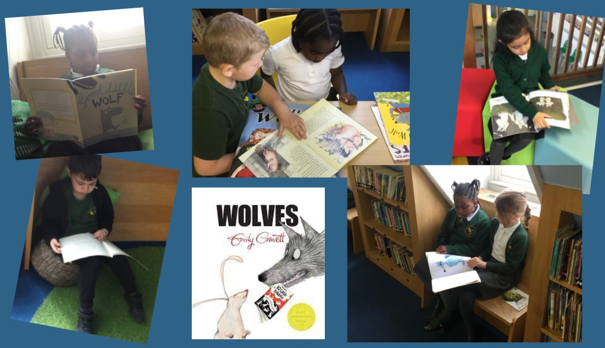 GoldfinchPrmry's tweet photo. The children in Year 2 Star Class have had a lovely time in our school library reading a range of fiction and non-fiction books about wolves! We will be top wolf experts before long! 🐺#PlanningSequence https://t.co/hWzOwBxqbX