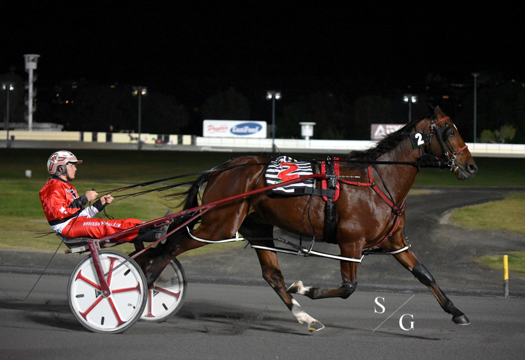 photographybysg's tweet photo. ✨ A few photos taken while at Albion Park on Saturday night the 8th of May ✨
Feel free to tag xx
Check out my Facebook page for the full album! https://t.co/EpTpN4xIHZ