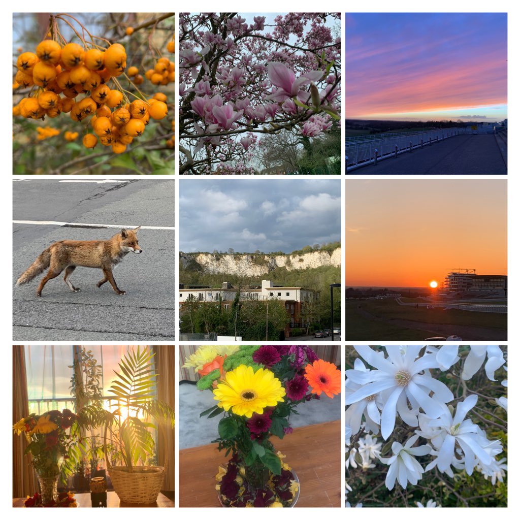 Take a moment, stop, look, capture the image mentally, breathe deeply, enjoy and then go back to what your doing with a smile. #ConnectWithNature