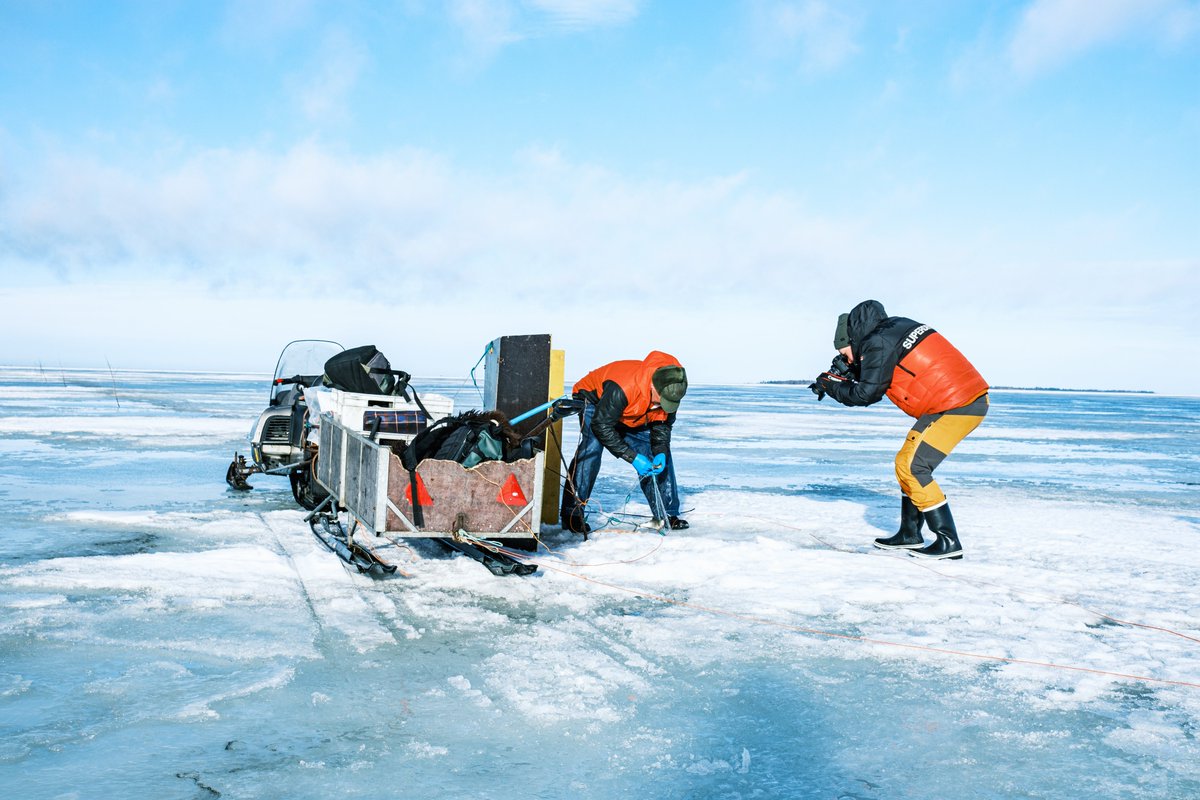 BA_ECONNECT's tweet photo. From the experts to the general public! Check the latest #ECOnnect news and see how we plan to #popularize information about the future of #marine environment within the #GulfofBothnia and #Kvarken.
🇬🇧https://t.co/qAu827s5Kt
🇸🇪https://t.co/kTRuoSVfyV
🇫🇮https://t.co/gS7mYTBWjC https://t.co/1PIg0f0LHd