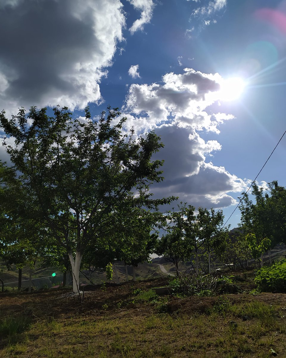 DogaPhotos's tweet photo. #dogecoin 
#doğa #DoğaNefesAlsın #bahar #bahargeldide #Xiaomi #XiaomiMi11Ultra 
#photography #photographer #NaturePhotography #nature #natural #NaturalBeauty #siirt #turkiye https://t.co/dZl7H3hQkb