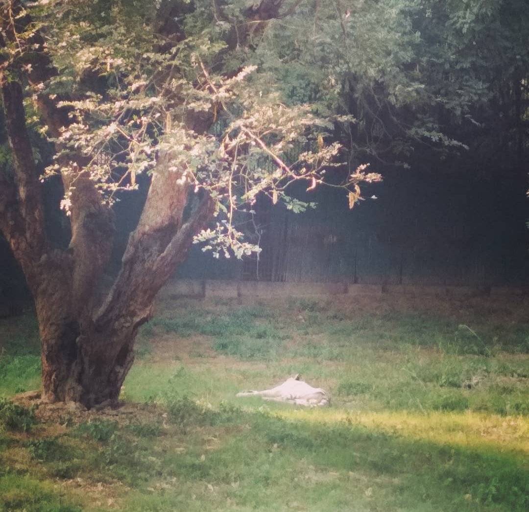 *🌼*RM.. tweet media