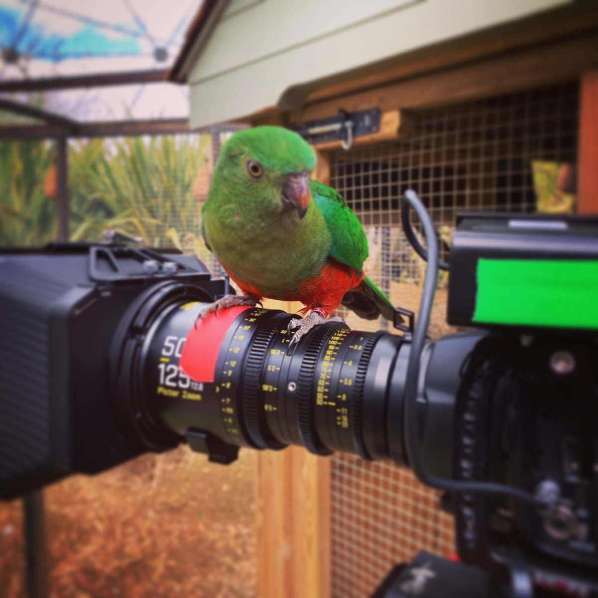 turtlecanyon's tweet photo. Our new camera trainee is doing a fantastic job and already looking to make a step up in their career https://t.co/6zlGz8Iqtp
