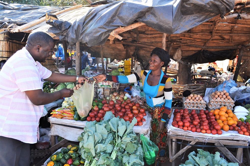 New study suggests innovative value chain financing approaches for youth engagement in agribusiness #agribusiness #youthengagement cabi.news/3bhueu2