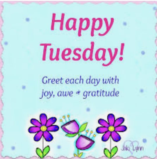 <a href="/KoichicCheryl/">Cheryl~~GB Trump 2020</a> <a href="/b_gawk/">ULTRA MEGA MAGA Force American B'GAWK</a> <a href="/blueskies6123/">Blueskies</a> <a href="/lupash8/">ConspiracyElephant</a> <a href="/sundoghigh/">Skip 🇺🇸</a> <a href="/Mad_Rebel2/">Mr. Bandy Shanks™</a> <a href="/roosterpisces/">Rooster Pisces</a> <a href="/WmScottBlair/">Scott</a> <a href="/BettyAnn1014/">BettyAnn</a> <a href="/SavvyHuman/">GG Smiles</a>  May you each enjoy a Terrific Day!💕