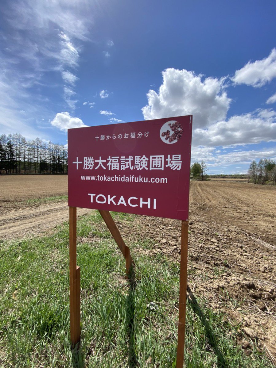 十勝大福本舗 あずきを育ててます Tokachidaifuku Twitter