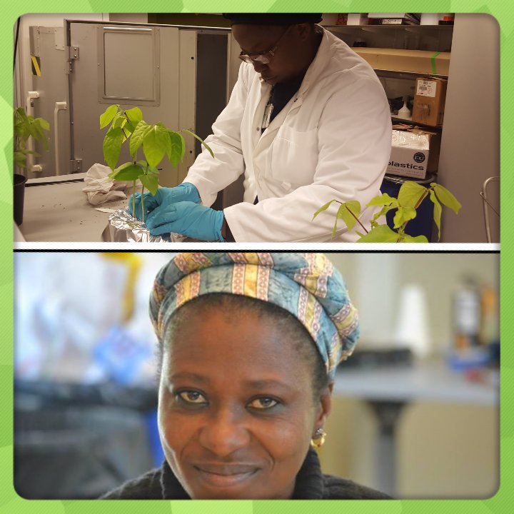 NiWARD (@niwardn) on Twitter photo Don't miss this month's edition of our Scientists of the month.
Read the highly inspiring stories of our tenacious scientists <a href="/jmkalabi/">Olajumoke Alabi</a> and <a href="/bintaliya1/">Binta Iliyasu</a> and how they have shattered glass ceilings in the pursuit of excellence.
niward.org.ng/scientists-may…
niward.org.ng/scientists-may… Don't miss this month's edition of our Scientists of the month.
Read the highly inspiring stories of our tenacious scientists <a href="/jmkalabi/">Olajumoke Alabi</a> and <a href="/bintaliya1/">Binta Iliyasu</a> and how they have shattered glass ceilings in the pursuit of excellence.
niward.org.ng/scientists-may…
niward.org.ng/scientists-may…