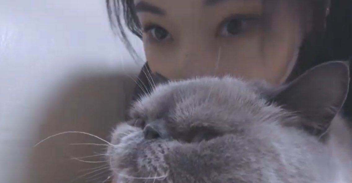 고양이가... 고양이를 키워요... 말도 안돼.... 열 배로 귀여움....