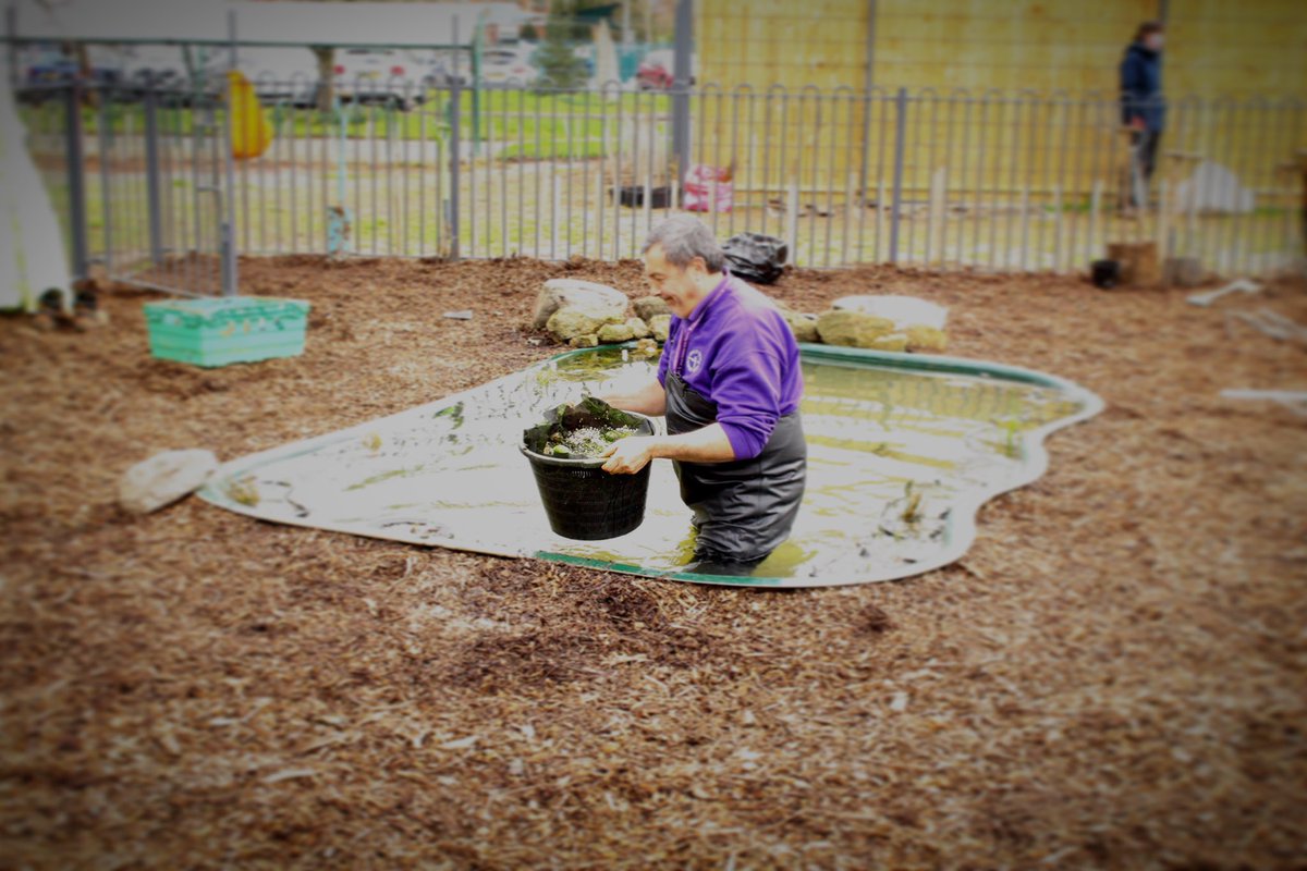 LoseleyFields's tweet photo. Our latest #Groundswatch Newsletter featuring our project with @rootsforfuture & our wonderful caretaker Mr Yordanov working in our new pond is now available.
Please click here:
https://t.co/UoVdyib3JM
#OutdoorLearning #OutdoorEducation #Godalming #Farncombe #Binscombe https://t.co/AqjwL46eec