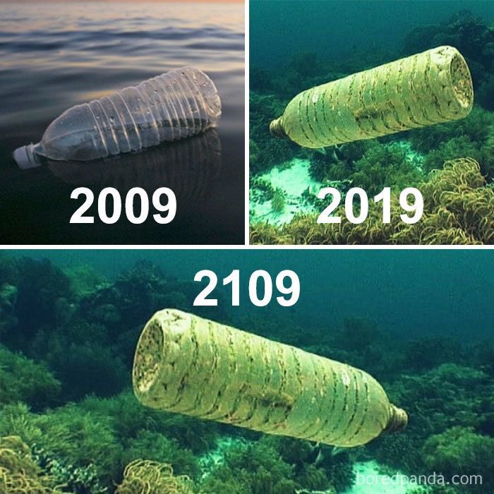 ddoganikoru's tweet photo. 🚯Bir plastik şişenin 400-500 yıl süren yok olma süreci..
•
•
#doğanıkoru #geleceğinesahipçık #sutasarrufu #geleceğenefesol #doğa #çevredostu #çevrekirliliği #çevre #havakirliliği #beykozüniversitesi #sukirliliği #türkiye #gürültükirliliği #plastikkullanma #plastik @beykozedutr https://t.co/b09uaNbJGZ