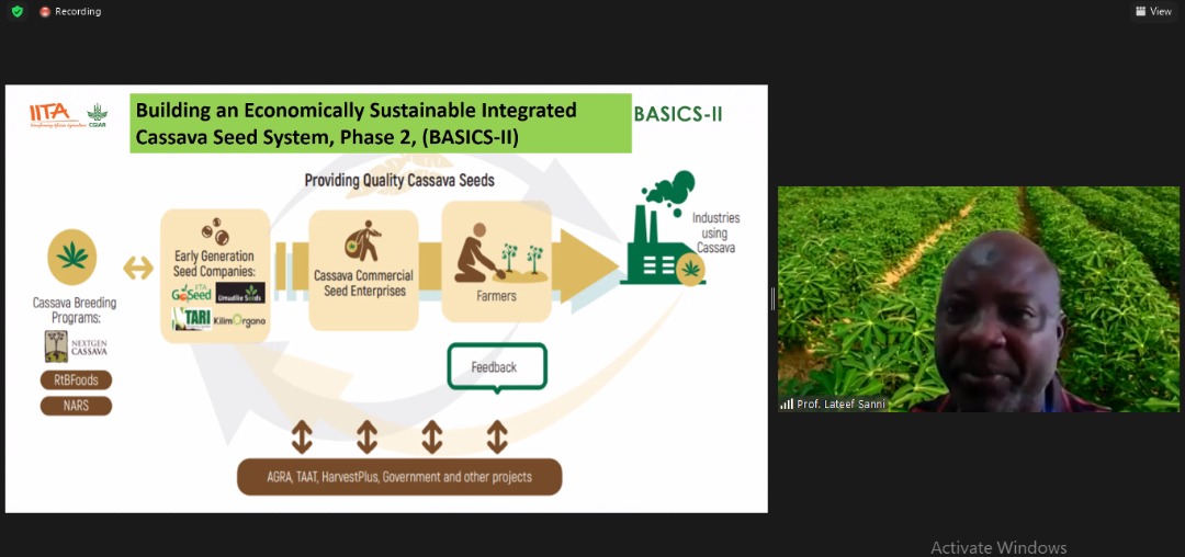 The #BASICS-II project is out to ensure access to affordable, disease-free, quality assured seeds of improved cassava varieties in #demand by farmers through market driven value chain. -Prof Lateef Sanni, Project Manager, <a href="/IITA_CGIAR/">IITA</a> BASICS-II 
#cassavaseedbusinesssummit2021