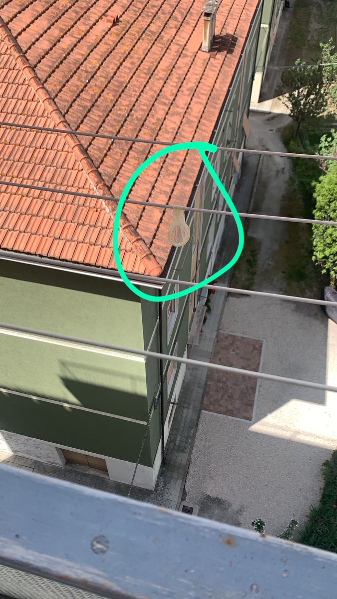 Freneh tweet media