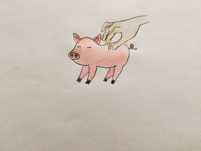 ブタ 高画質 のtwitterイラスト検索結果 古い順