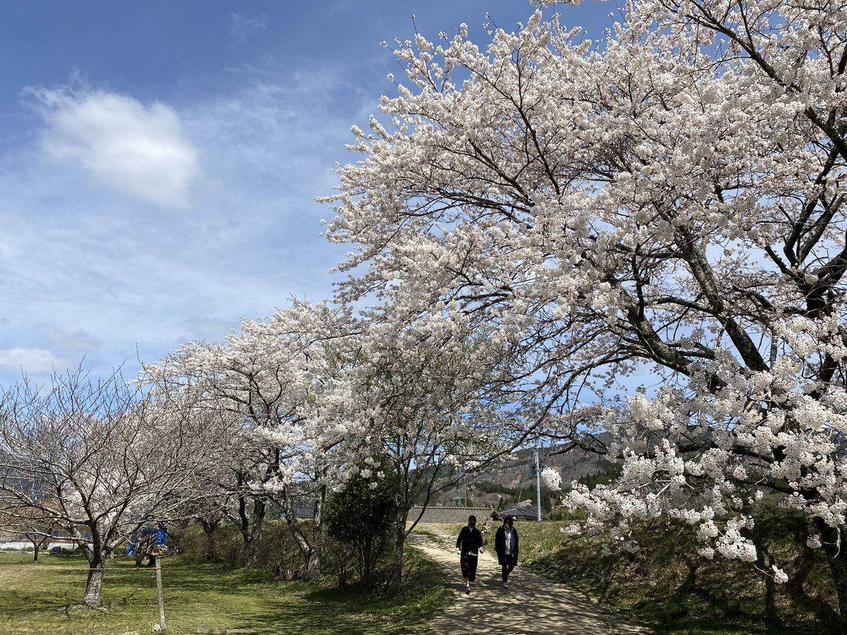 E_code1's tweet image. 岩大生のみなさんに陸前高田のとっておきの景色を見てほしい。