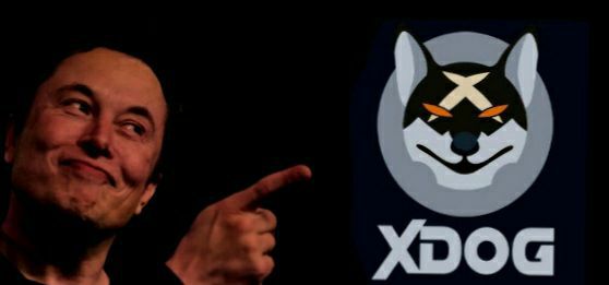 XDOGProtocol's tweet photo. Doge to XDOG ? 
#xdog #doge @elonmusk @CaptainJackAPE 
We are bsc xdog🚀🚀🚀 https://t.co/mDeoDWRBeb