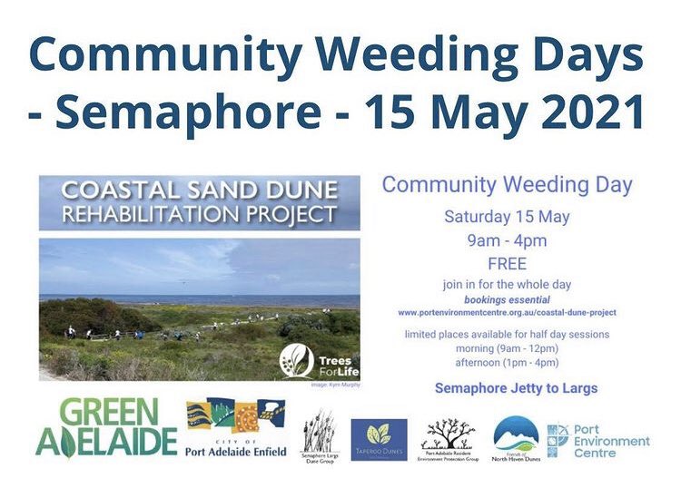 DunesLargs's tweet photo. Come along to our Community Weeding Day next Saturday. You will be working with the fabulous Trees For Life who will answer any questions about plants in the dunes 🌱🌿
@DunesLargs #treesforlifesa @CityofPAE #greenadelaide #semaphore #largs @greenadelaide https://t.co/RoHGVfAIab