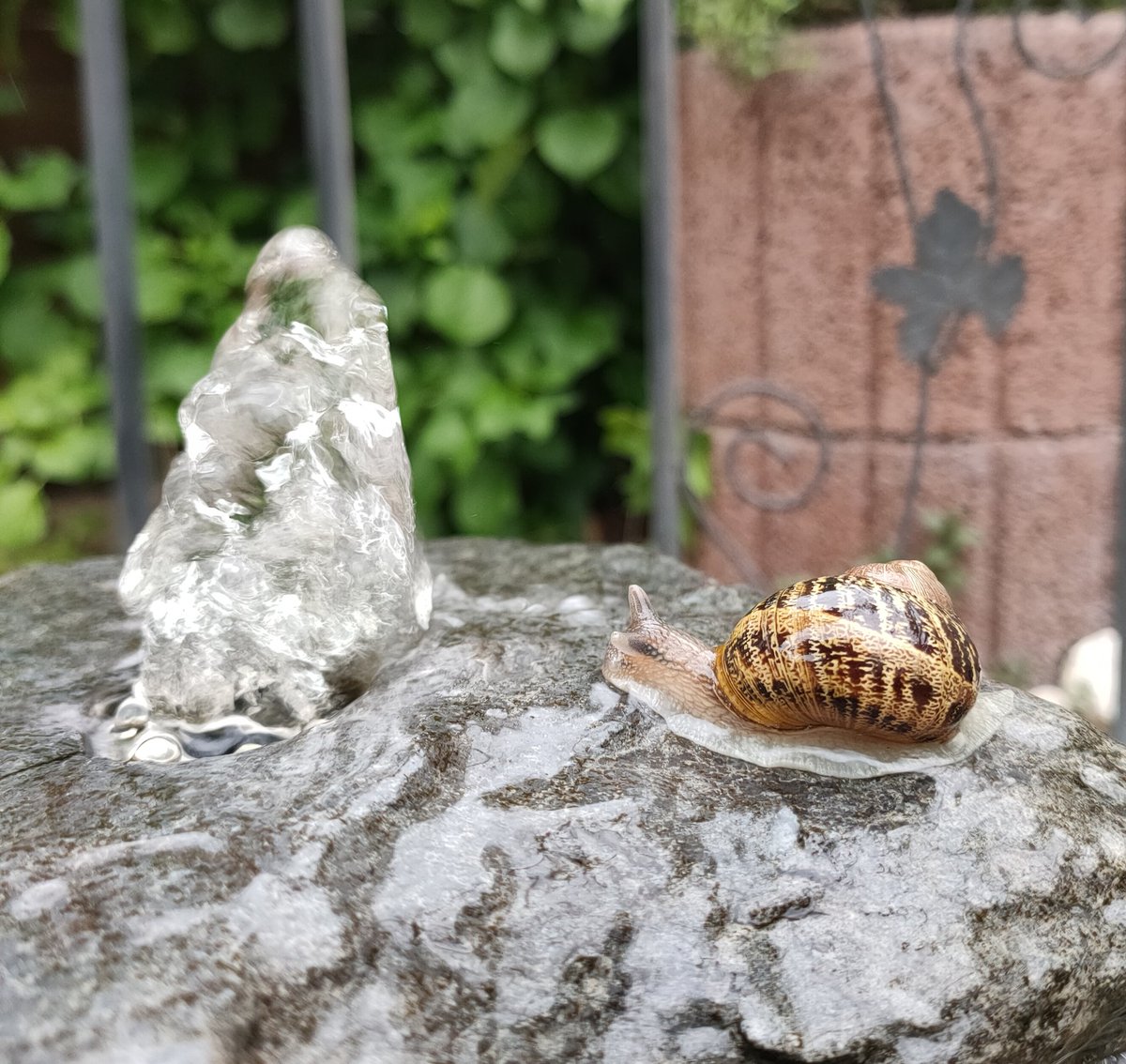 elfenhand's tweet photo. #Schnecke #Dusche #Quellstein https://t.co/OFFmzthZ2Q
