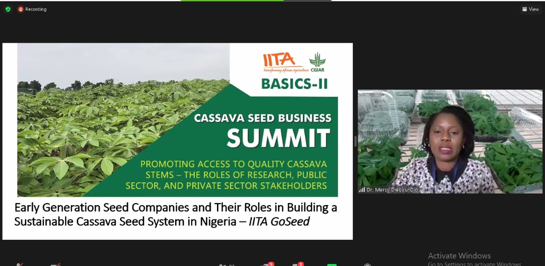 (IITA)CassavaMatters (@cassavamatters) on Twitter photo #Nigeria requires an estimated 376 million bundles (50,1m stems) to cover 6,261,047 ha translating to about 70million bundles of Early Generation Seeds. The formal cassava seed system produces < 1% of total demand"- Mercy Diebiru-Ojo <a href="/iitagoseedltd/">IITA GoSeed</a> #cassavaseedbusinesssummit2021 #Nigeria requires an estimated 376 million bundles (50,1m stems) to cover 6,261,047 ha translating to about 70million bundles of Early Generation Seeds. The formal cassava seed system produces < 1% of total demand"- Mercy Diebiru-Ojo <a href="/iitagoseedltd/">IITA GoSeed</a> #cassavaseedbusinesssummit2021